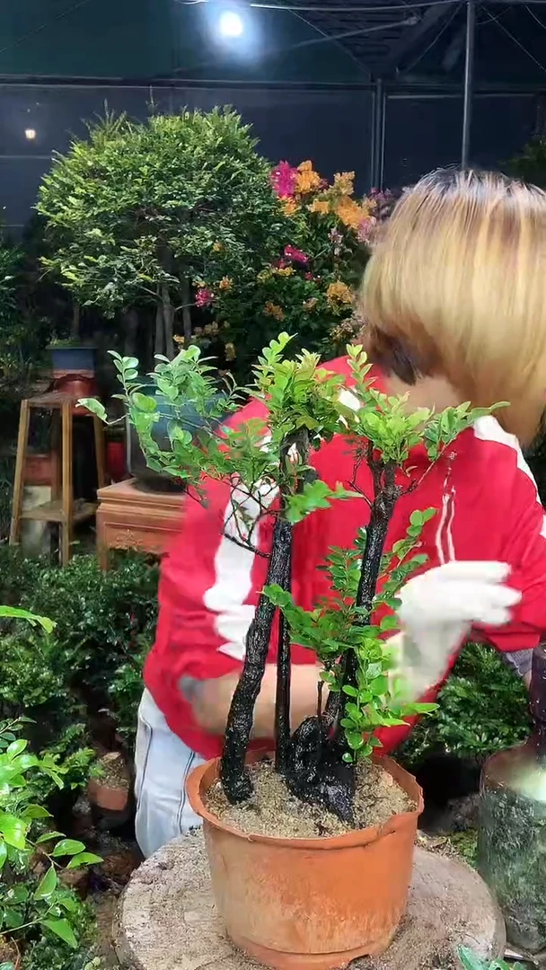 完全开放111111111