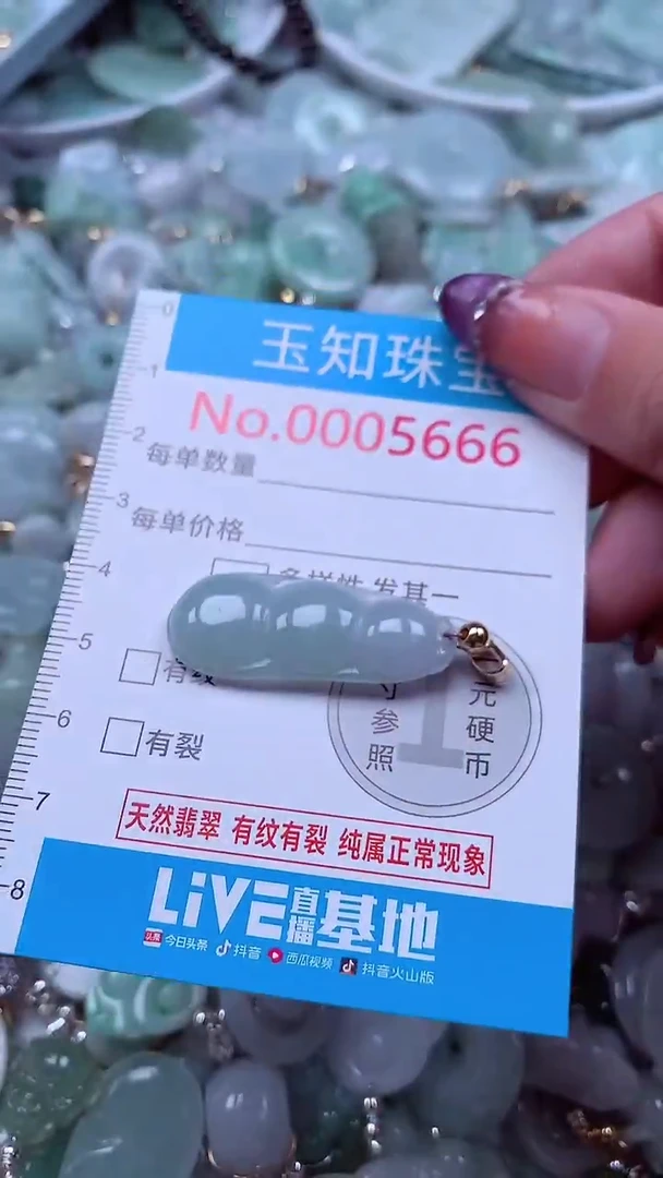 翡翠未镶嵌吊坠(不含链)5666