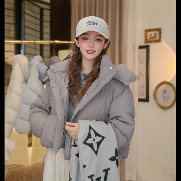 短款时尚女装百搭秋冬立领加厚气质女士长袖街头风保暖羽绒服