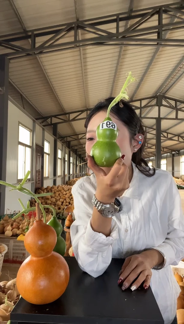 691 天然葫芦摆件 一物一拍龙头不保售后