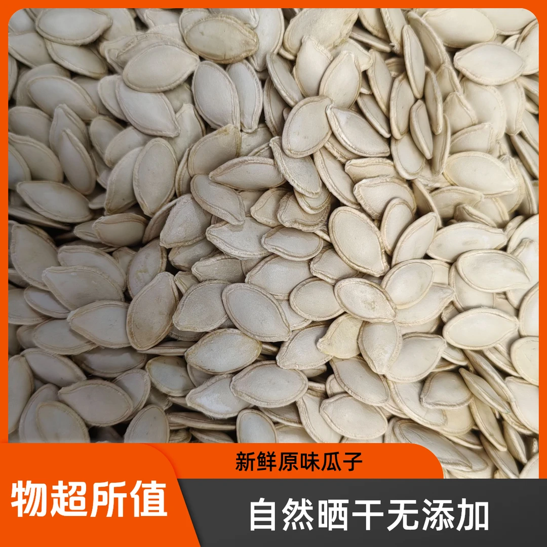 生南瓜子内蒙古巴彦淖尔原产地生南瓜子颗颗饱满营养美味产地直发