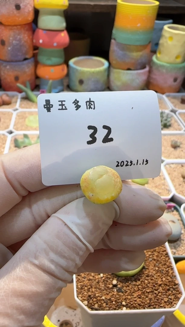 【闪购商品】25.1.15-32