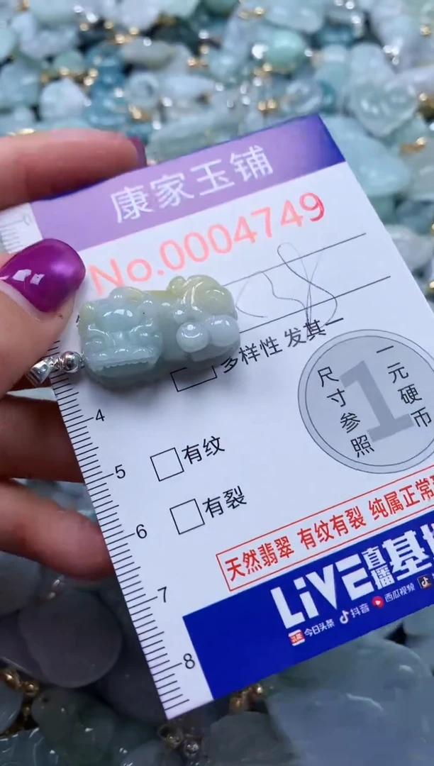 颈饰未镶嵌翡翠4749