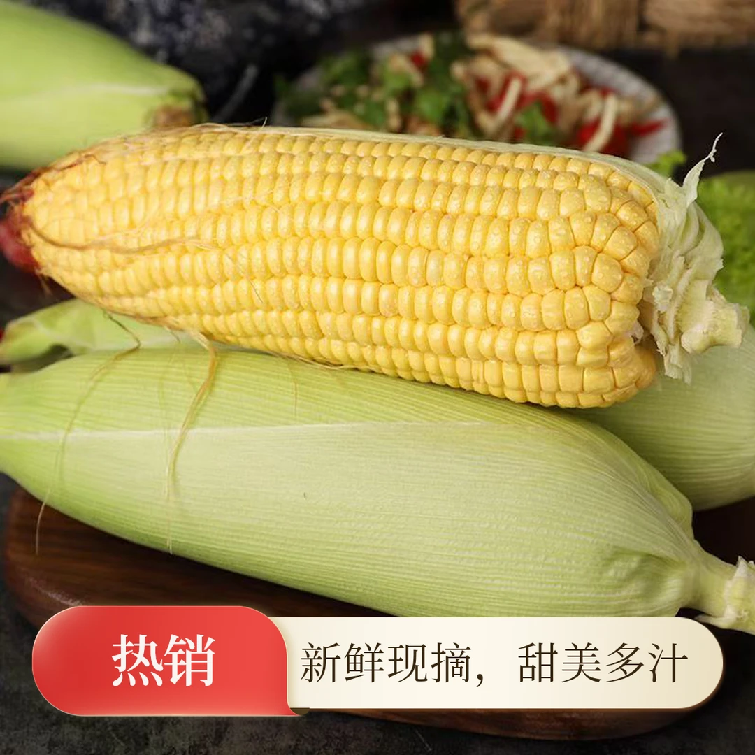 湖南永州甜玉米现摘现发甜玉米玉米棒
