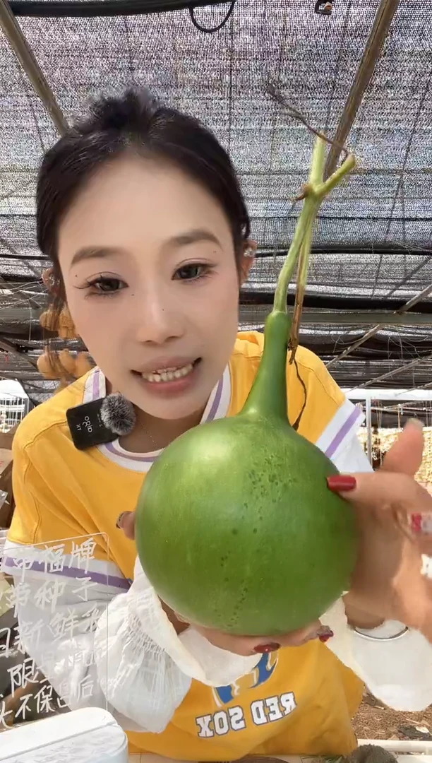 846天然葫芦摆件 一物一拍龙头不保售后微瑕疵