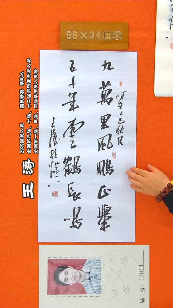 书法57a王涛书法作品
