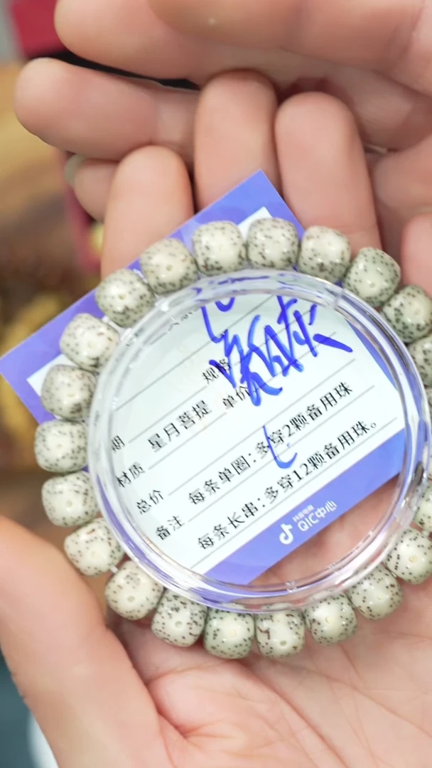 【闪购商品】星月菩提手串净庄阁文玩