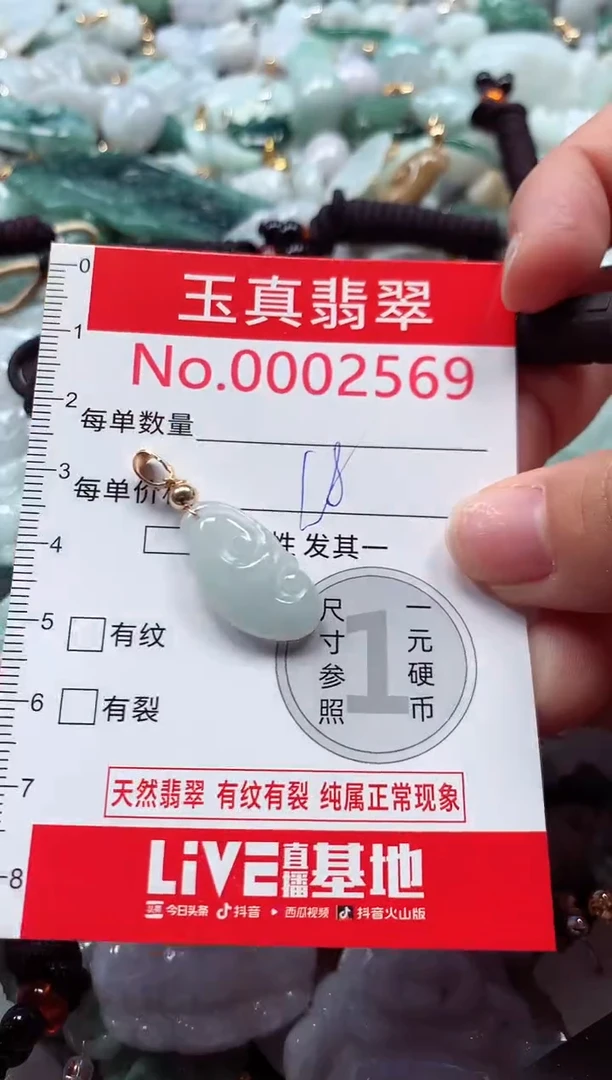吊坠(不含链)未镶嵌翡翠2569