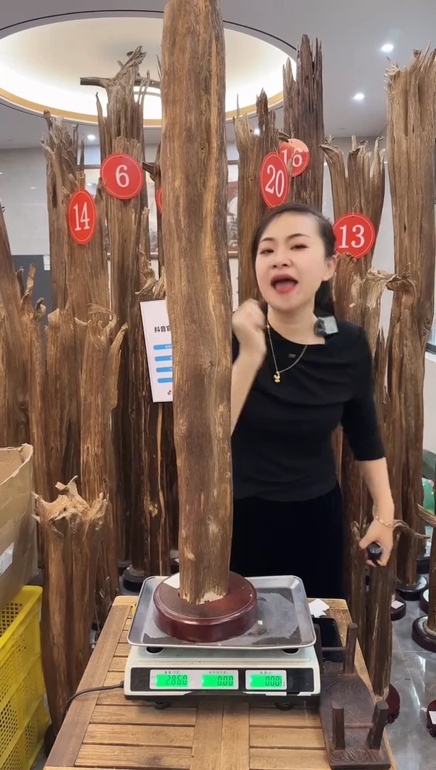 【闪购商品】沉香摆件沉香摆件26