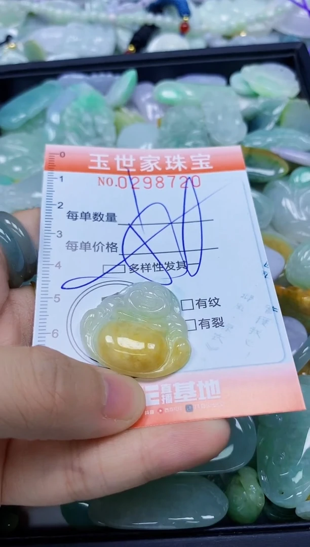 翡翠未镶嵌颈饰闪购0298720多样性发其一