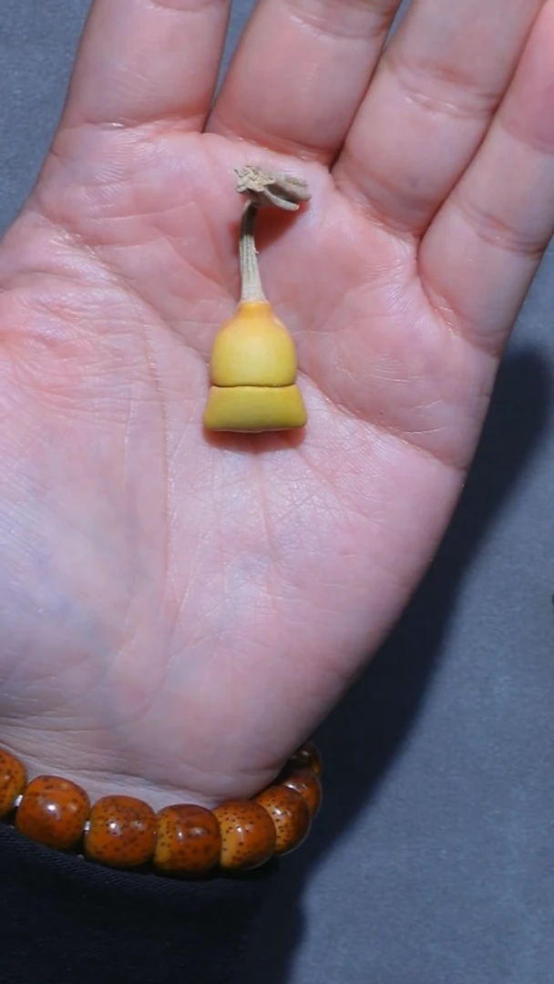 居周正迷你钱袋子
