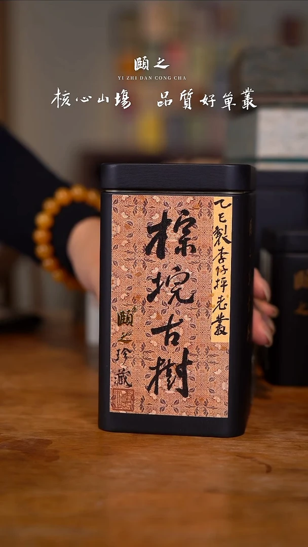 陶棕埦古树50g颐之