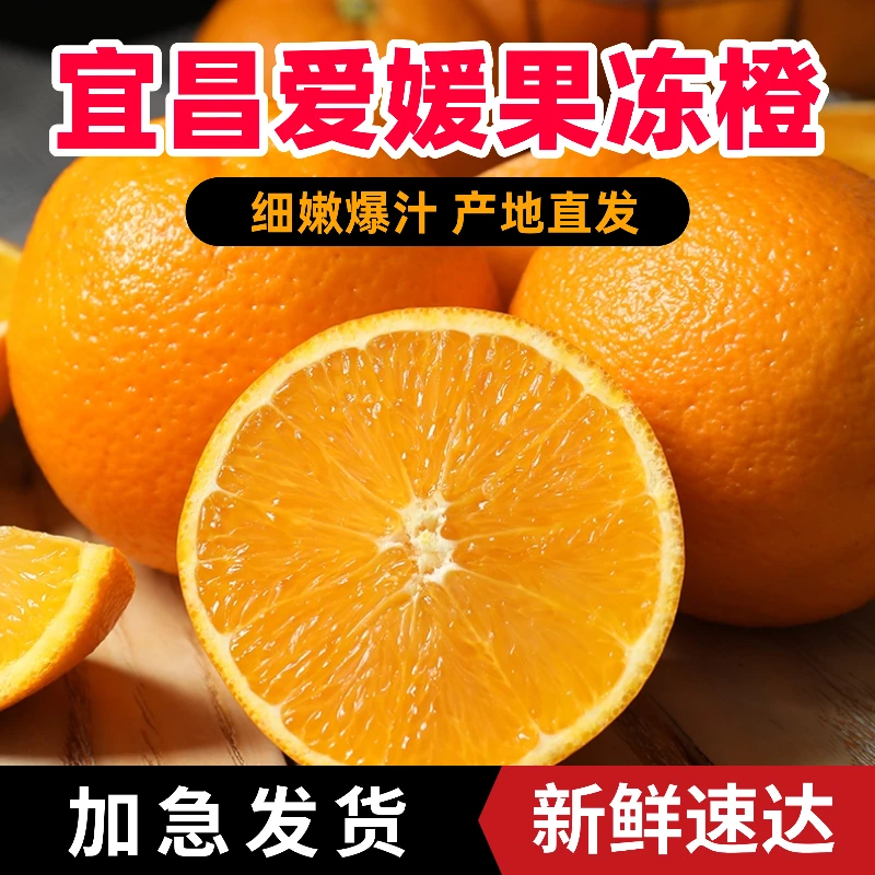 【产地直发】新华溯源助农｜宜昌爱媛果冻橙 一口爆汁现摘现发
