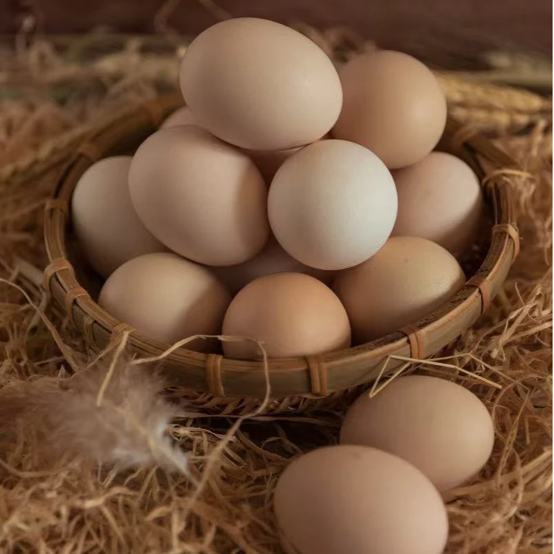 【买40枚送10枚】现捡现发农家散养粉壳土鸡蛋纯谷物喂养45-50克/枚