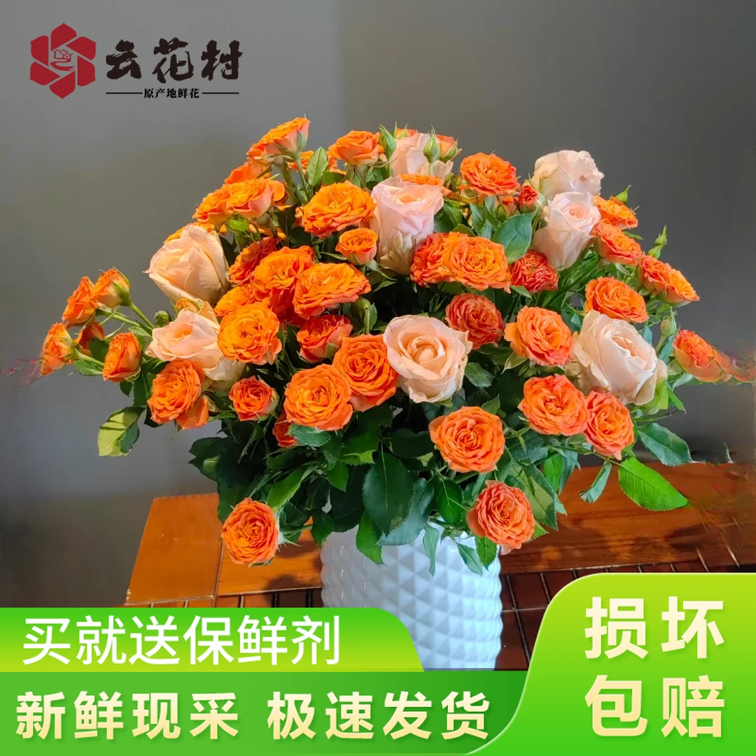 【爆款鲜花套餐】香槟玫瑰+橙色芭比泡泡鲜花直播间现场直播卖花