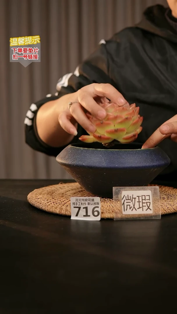 瓷片716内口径约13  外高约8