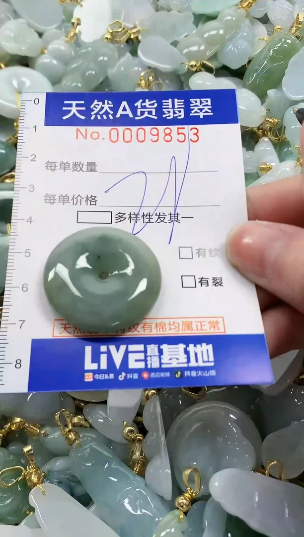 颈饰未镶嵌翡翠纯天然a货翡翠