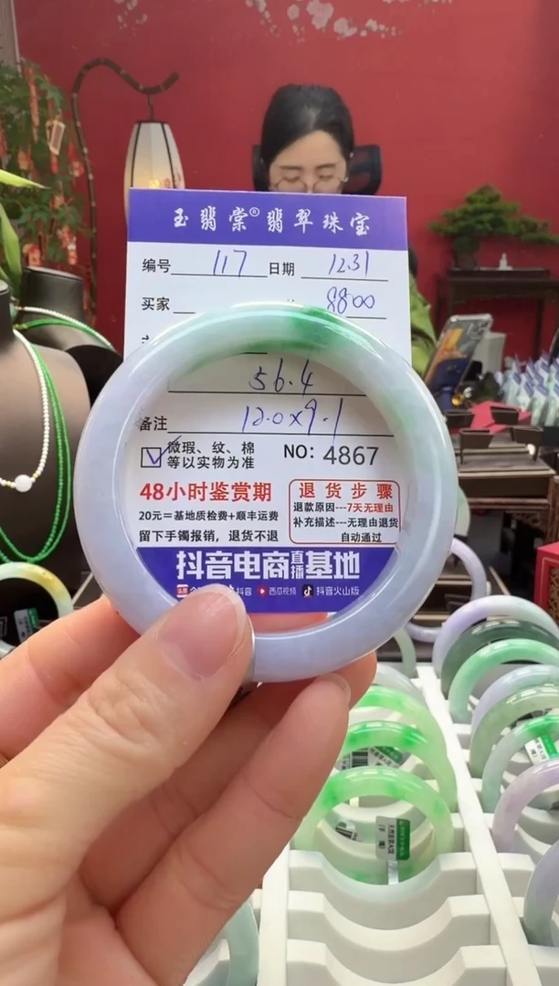 未镶嵌手镯翡翠翡翠117