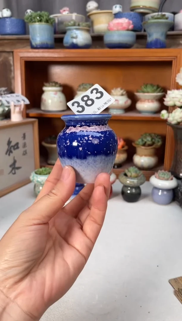 瓷片383小芳直播编号