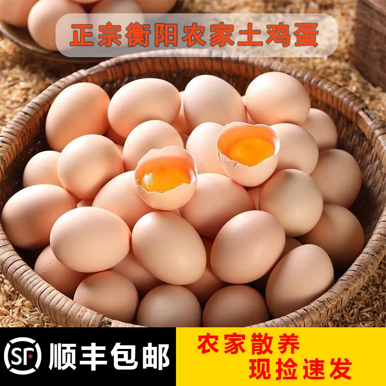 【顺丰包邮】正宗衡阳农家土鸡蛋假一罚十新鲜营养健康谷物喂养