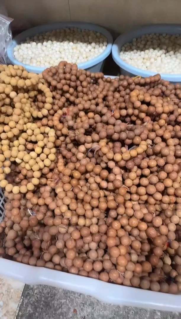 菩提根/象牙果手串凤眼菩提单圈福利款