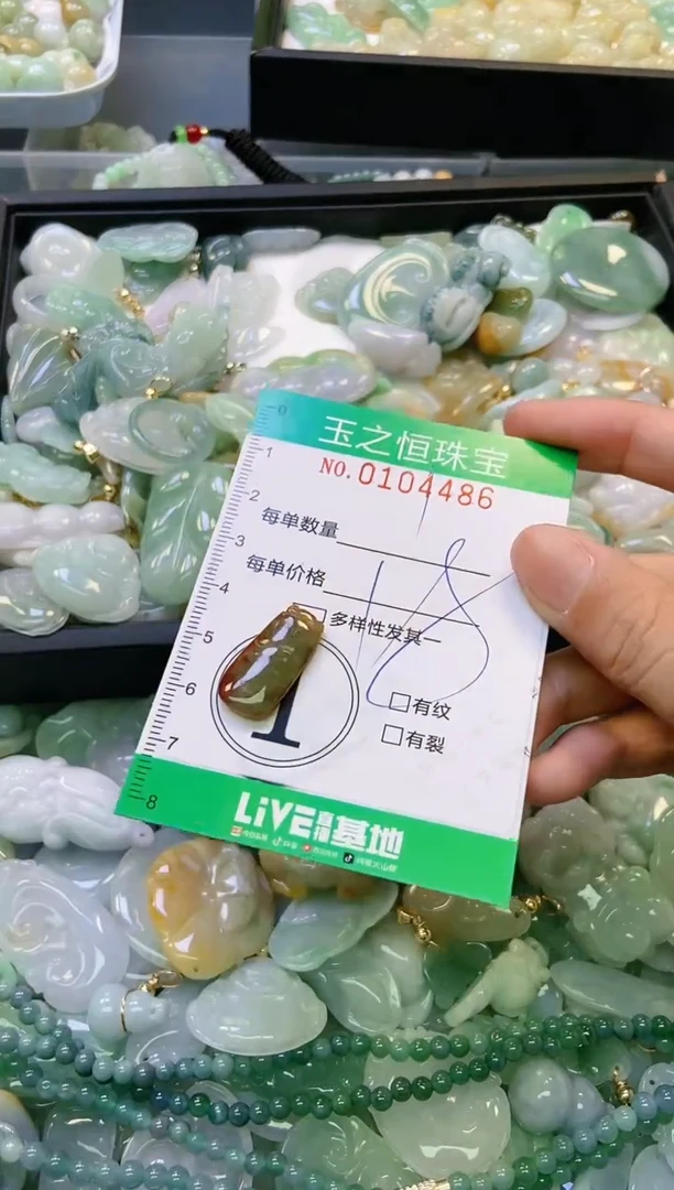 翡翠未镶嵌颈饰闪购0104486