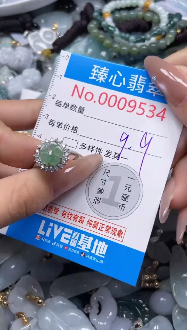 颈饰未镶嵌翡翠9534