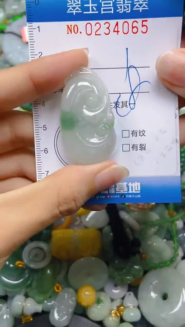 颈饰未镶嵌翡翠闪购C0234065