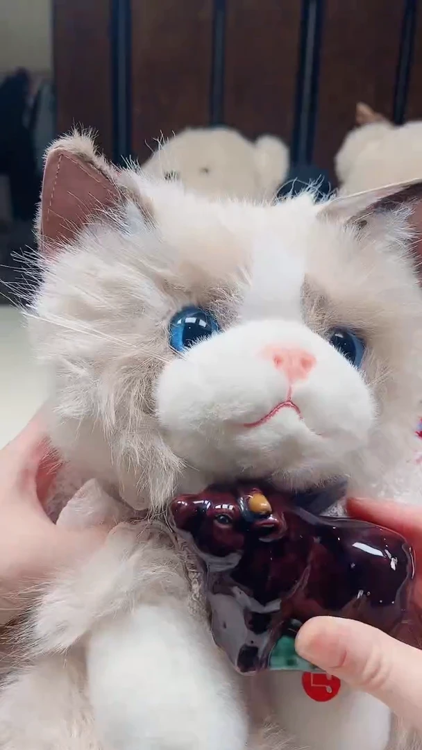 瓷片陶茶周边666文玩多人