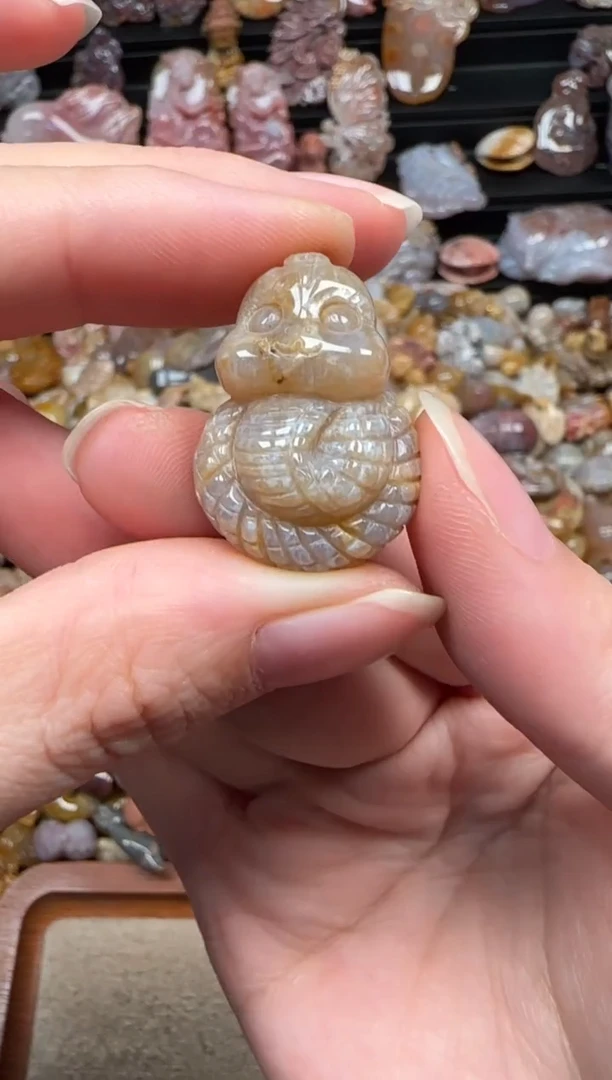 颈饰未镶嵌硅化珊瑚（珊瑚玉）335