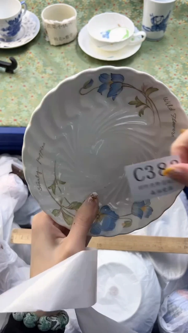 【闪购商品】瓷片          C383