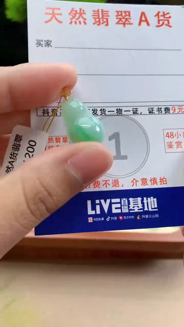 颈饰未镶嵌翡翠天然A货翡翠挂件