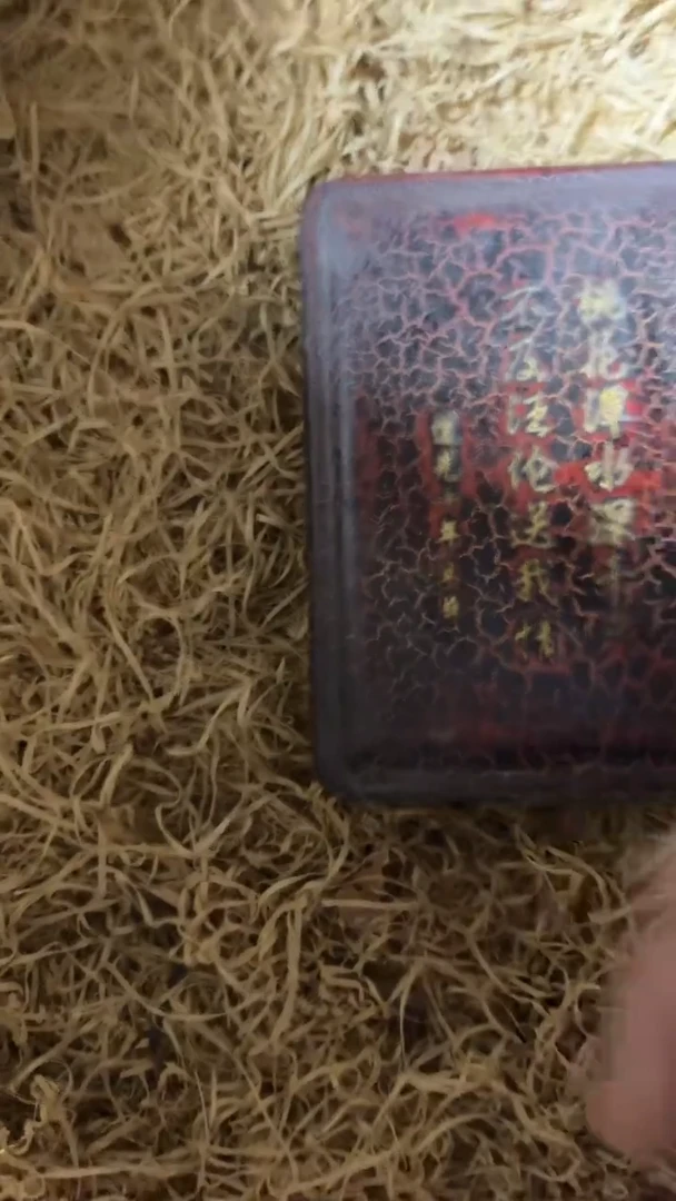香榧木（1个小复利）