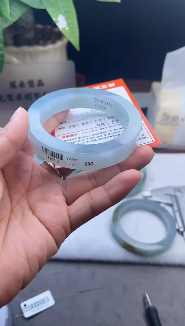 未镶嵌胚定制翡翠天*多样性发货之一