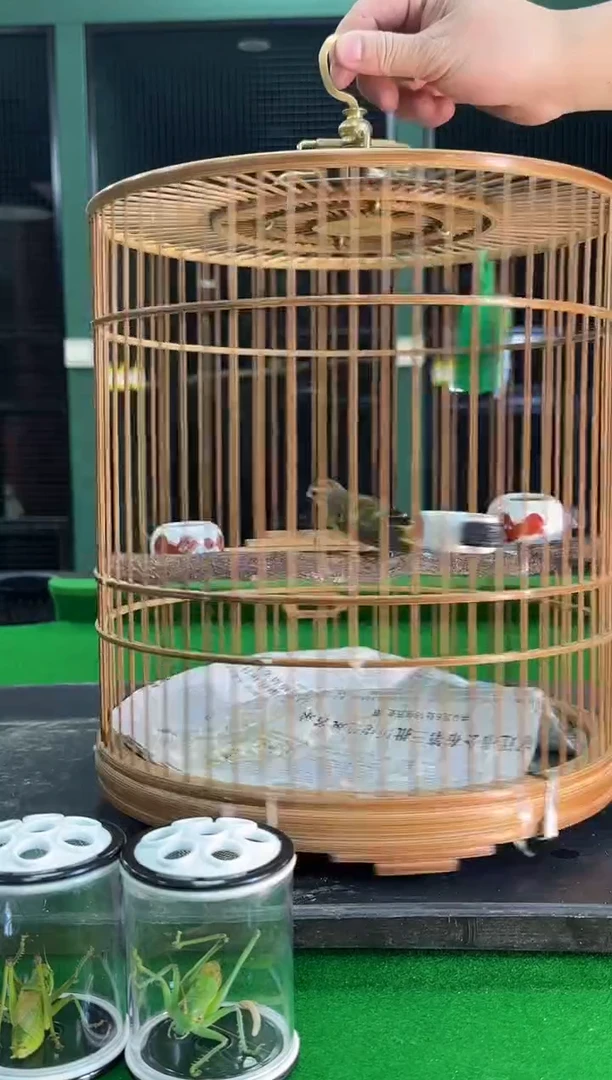 12号金青养笼0元起拍