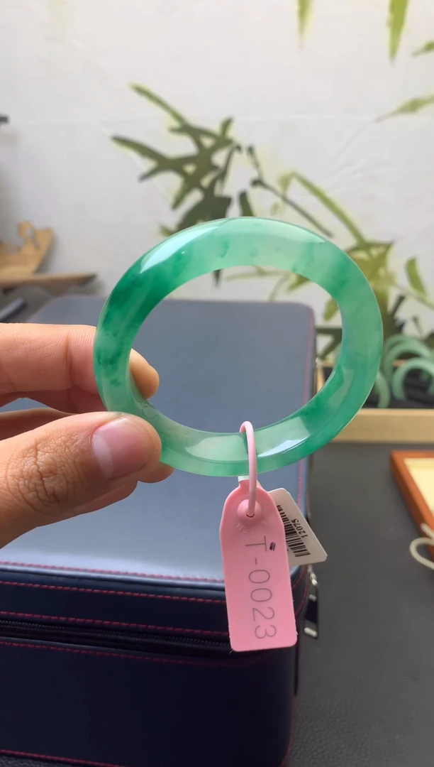 【闪购商品】石英质玉手镯未镶嵌高品质独龙玉手镯