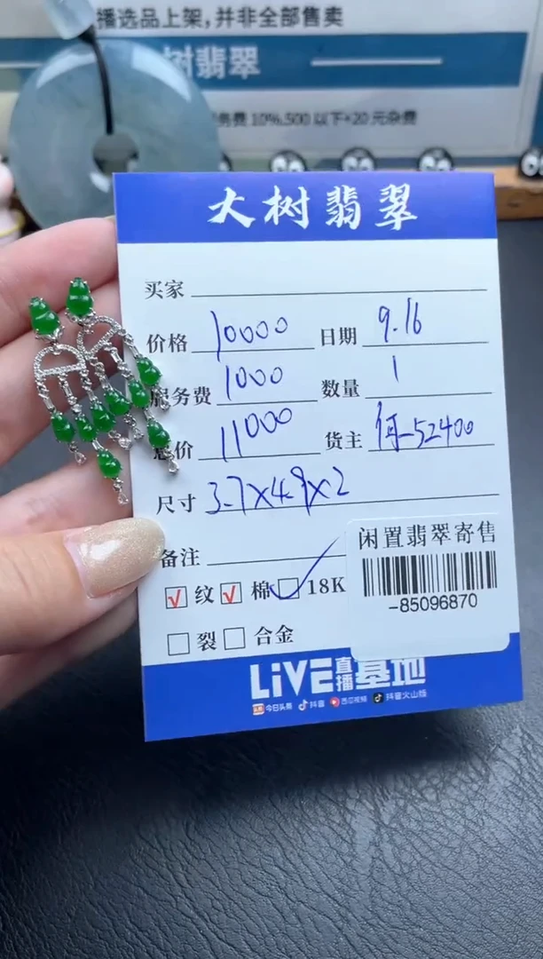 18K金镶嵌翡翠耳饰多人-85096870