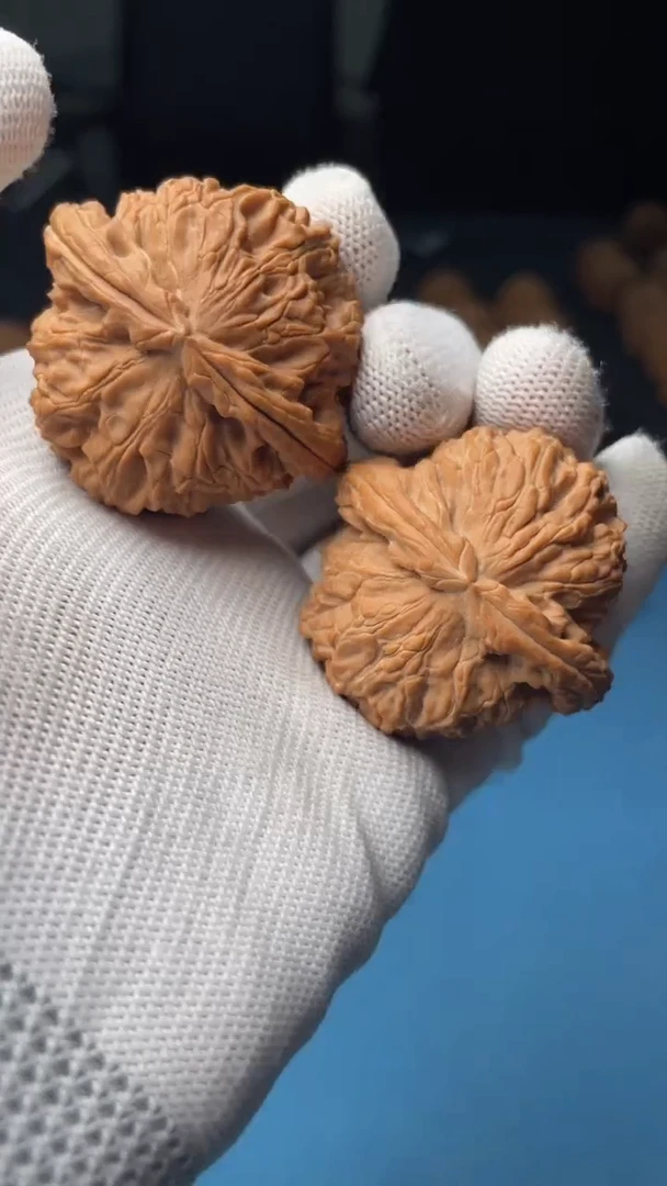 桃核把件a71  白狮子 43尺