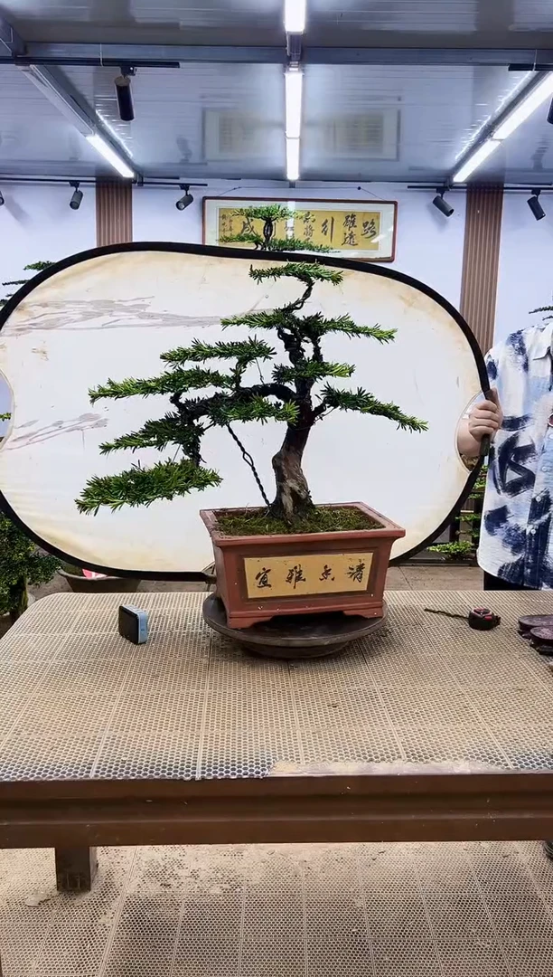 一物一拍，所见即所得