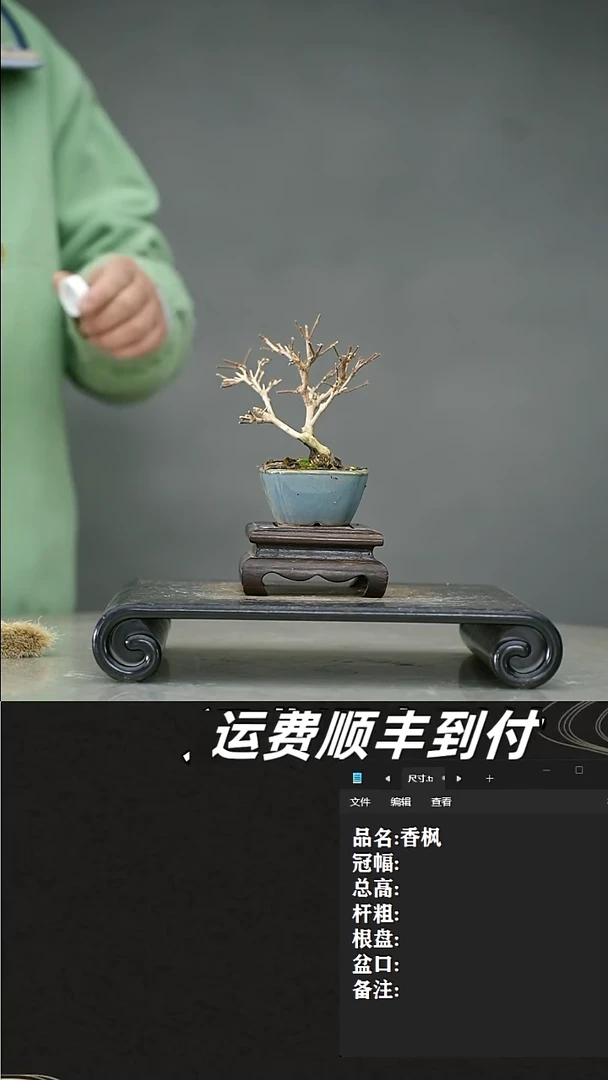 【闪购商品】2 那个女人