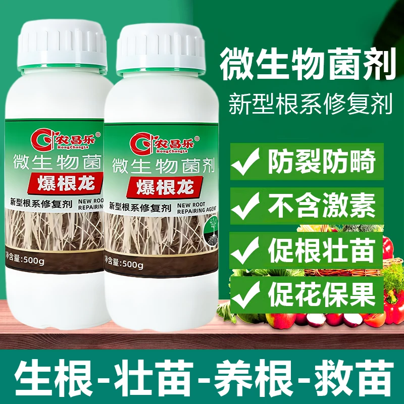 微生物菌剂水溶肥生根壮苗低温强力发根移栽育苗生根剂化肥营养液