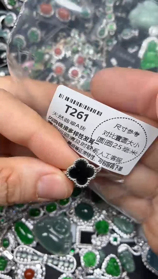 颈饰未镶嵌翡翠T261戒指