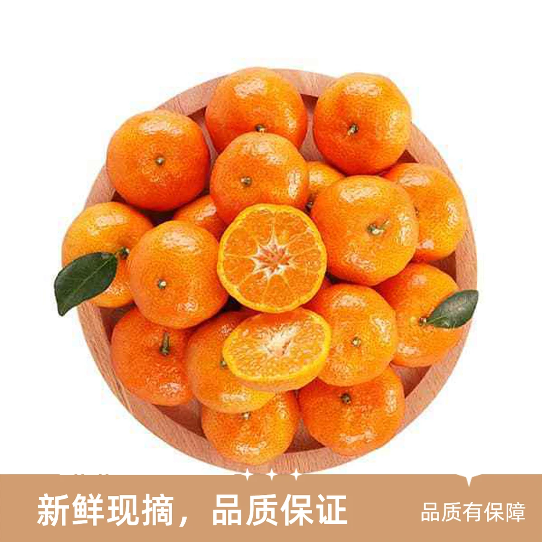 砂糖桔500g（±20g）