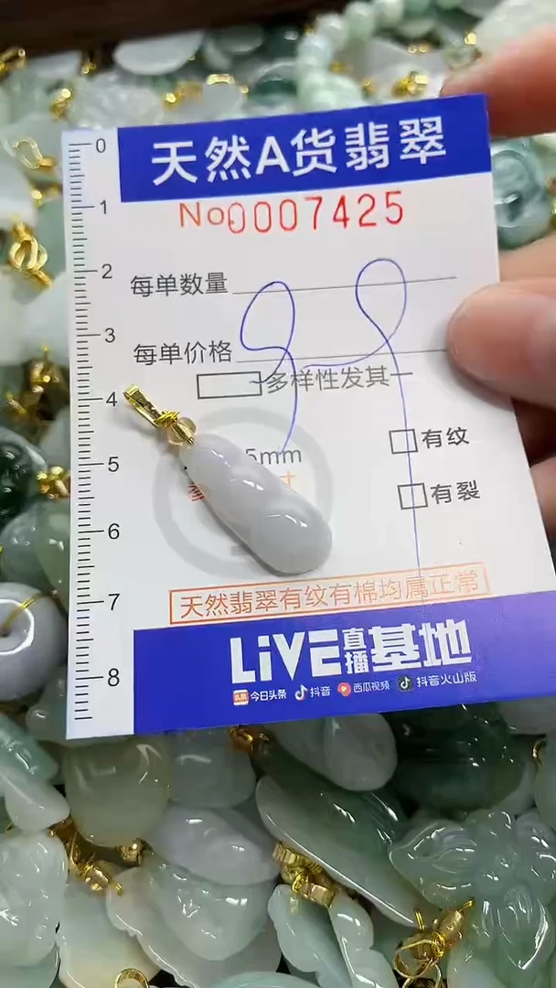 颈饰未镶嵌翡翠天然A货翡翠