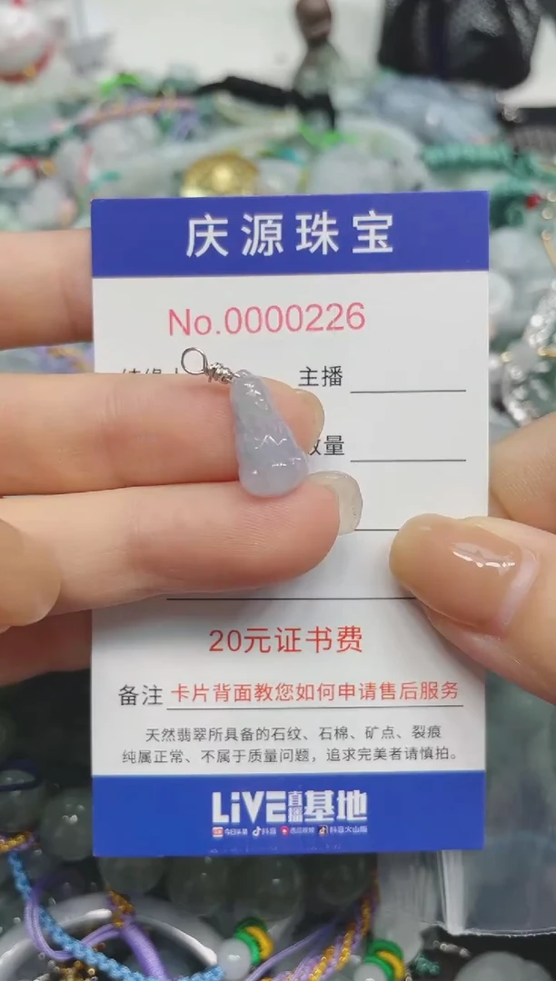 翡翠未镶嵌颈饰003（多样性发其一）