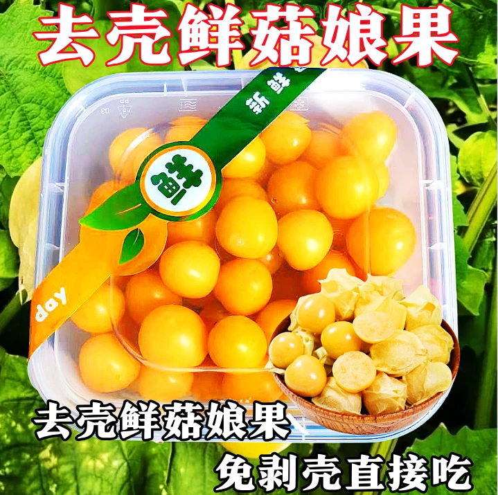 东北姑娘果【净重】新鲜水果姑娘果大果灯笼果应季水果东北姑娘果