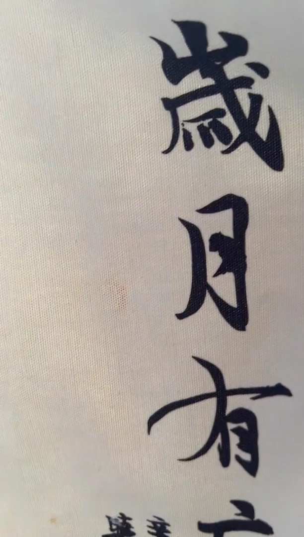 双维岁月有痕手提袋