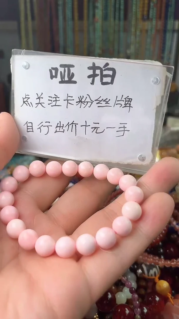.贝壳未镶嵌（一物一件）4657