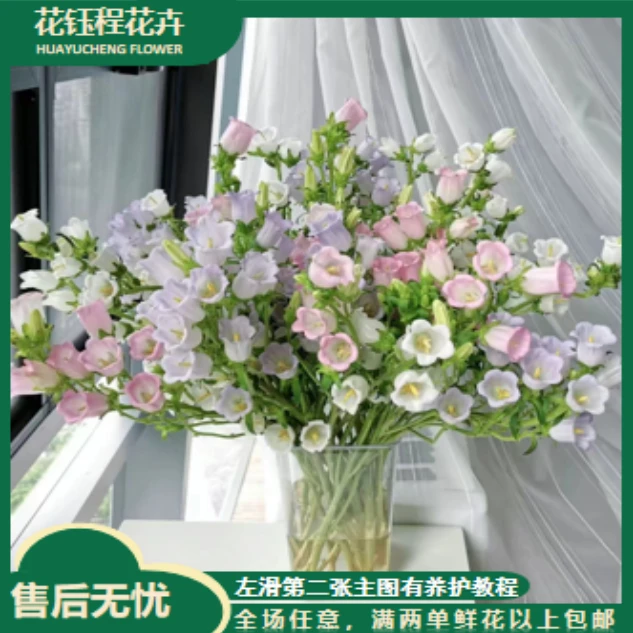 不选色风铃 按把不按枝  全场任意两单以上包邮 损坏10%不售后