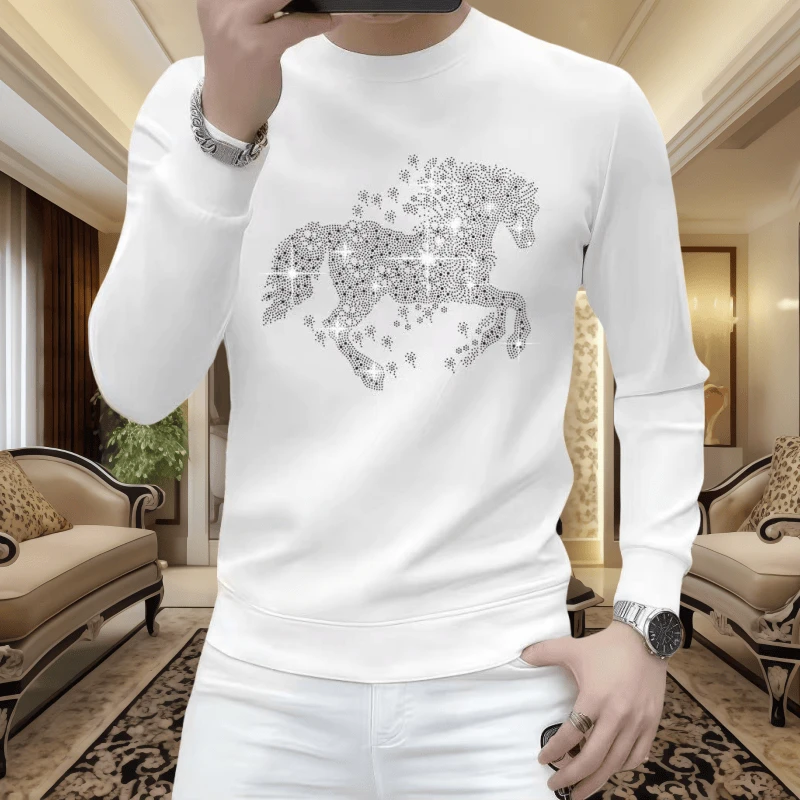 2025新款烫钻圆领套头卫衣男士长袖时尚潮流圆领秋冬休闲修身外套